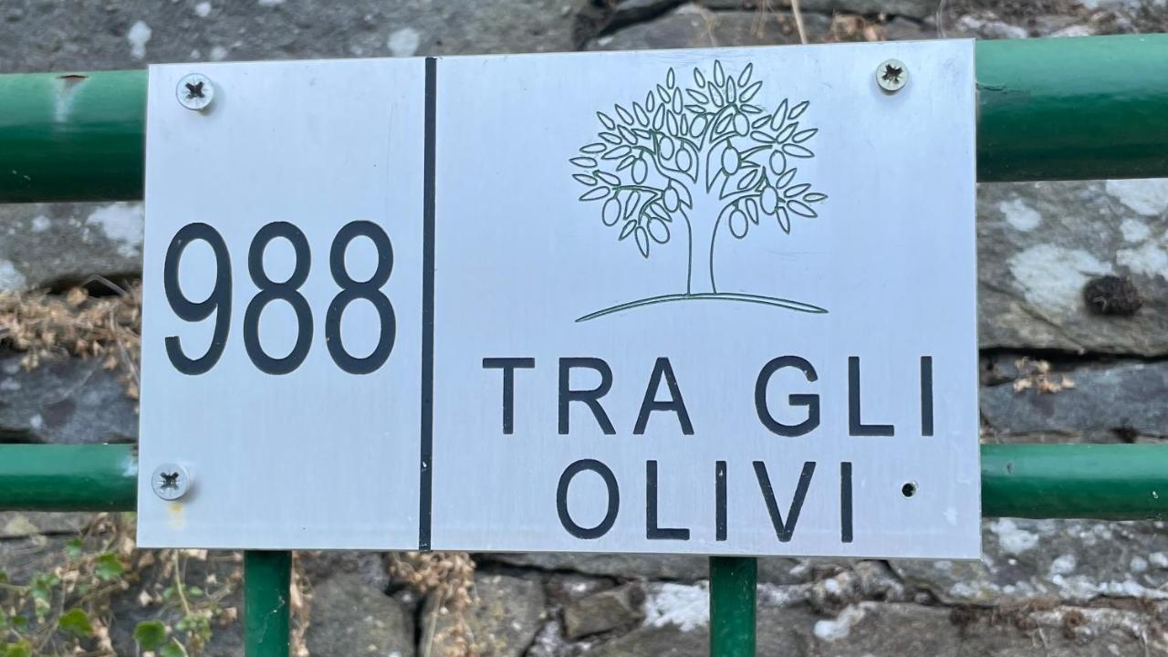 Tra Gli Olivi Apartment ลุคคา ภายนอก รูปภาพ