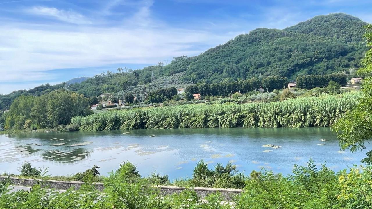 Tra Gli Olivi Apartment ลุคคา ภายนอก รูปภาพ