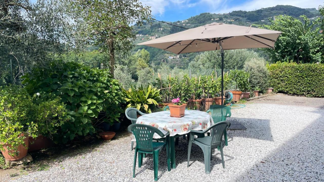Tra Gli Olivi Apartment ลุคคา ภายนอก รูปภาพ