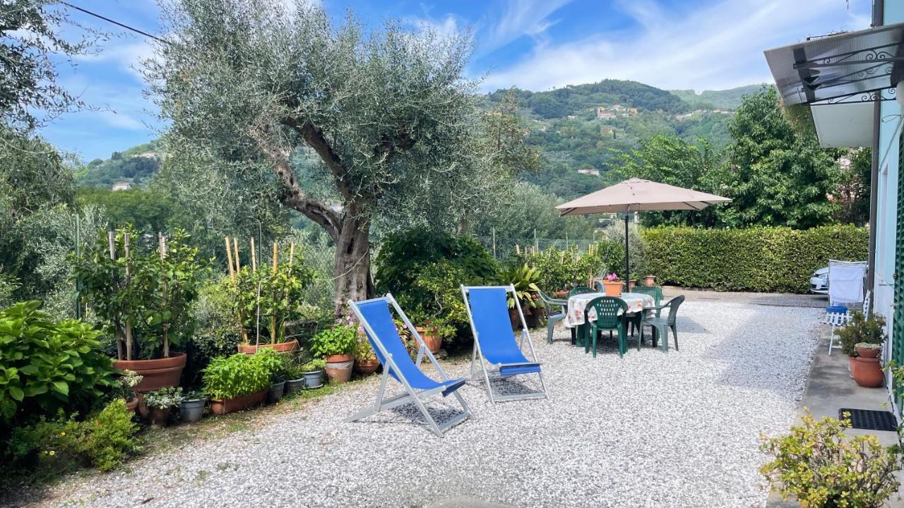 Tra Gli Olivi Apartment ลุคคา ภายนอก รูปภาพ