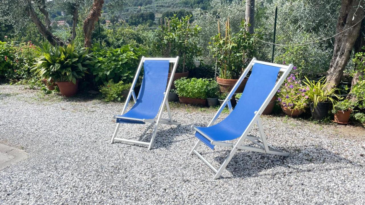 Tra Gli Olivi Apartment ลุคคา ภายนอก รูปภาพ